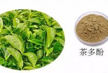 茶多酚是什么?-武夷山特产