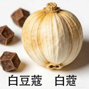 白豆蔻（白蔻）