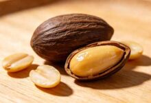 香榧子营养价值-武夷山特产网