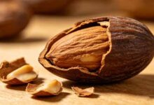 香榧子的挑选保存与吃法-武夷山特产网