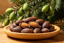 香榧子哪些人不能吃-武夷山特产网