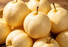 葫芦岛绥中白梨-武夷山特产网