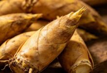 安吉冬笋-无忧舍-食间旅行者