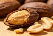 香榧子营养价值-武夷山特产网