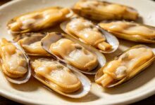 三都澳海蛏-无忧舍-食间旅行者